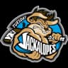 Tuesday Jackalopes